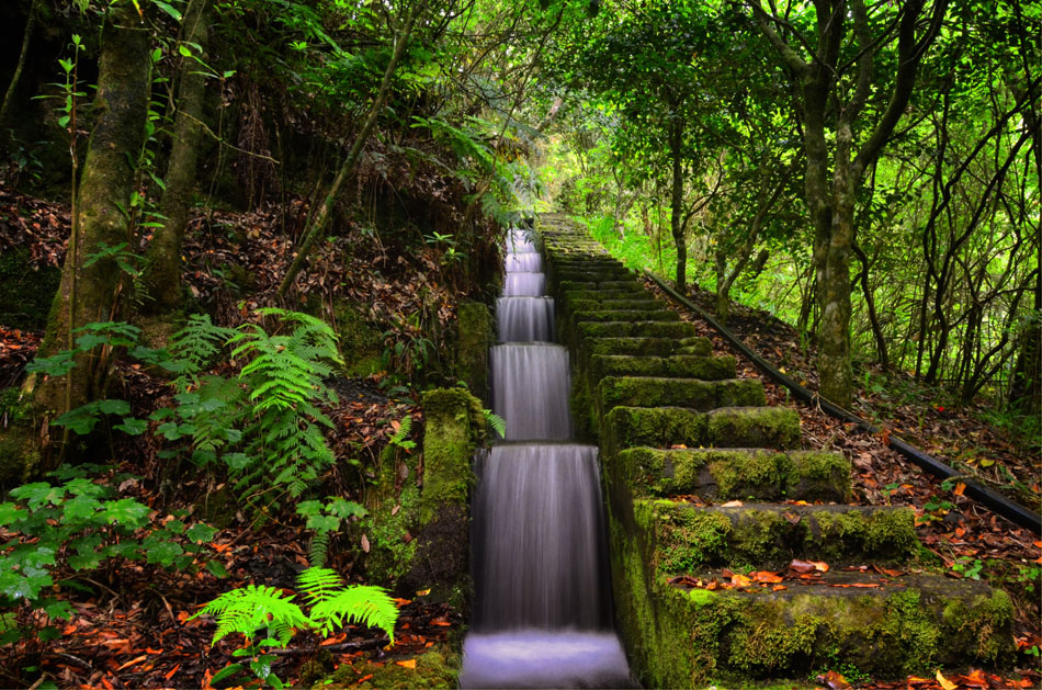 Ribeiro Frio Natural Park Madeira