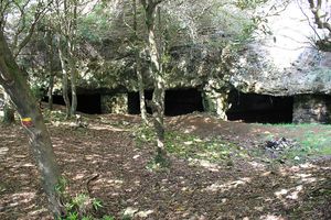 Figueiral Grotto, Santa Maria Island