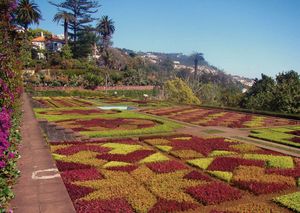 Jardín Botánico de Madeira, Funchal