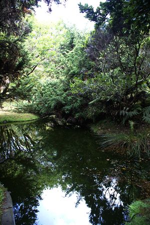 Faial Botanic Garden