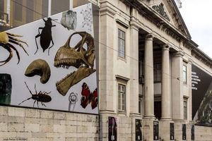 Museu Nacional de História Natural, Lisboa