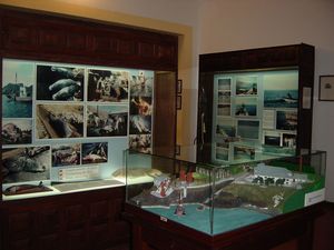 Museu da Baleia (Whale Museum)