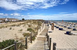 Praia do Barril, Algarve