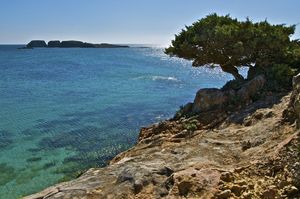 Praia do Martinhal Beach, Sagres, Algarve